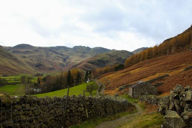 istock a grassy road leads through a valley with a dry stone wall 1498871318