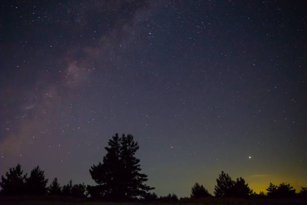 istock night prairie with pine tree under starry sky, night outdoor landscape 1498872735