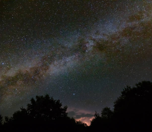 istock night forest silhouette under starry sky, night outdoor landscape 1498872821