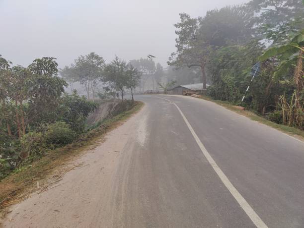 istock Clean  road with trees on both sides in the village 1498873161