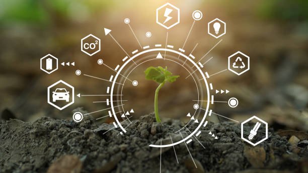 istock seedling in the soil. eco renewable energy icon green background 1498873188
