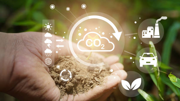 istock seedling in the soil. eco renewable energy icon green background 1498873189