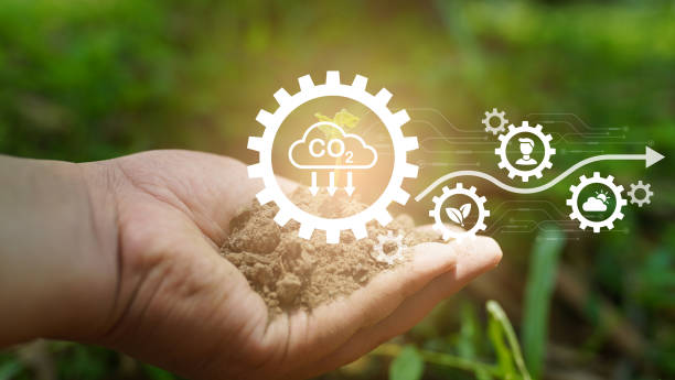 istock seedling in the soil. eco renewable energy icon green background 1498873210