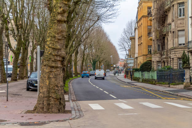 istock Metz in France 1498873237