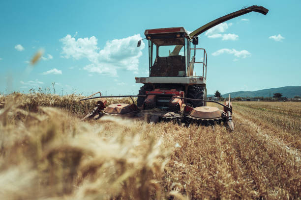 istock Agricultural activity in Italy: tractor gathering hay 1498874558