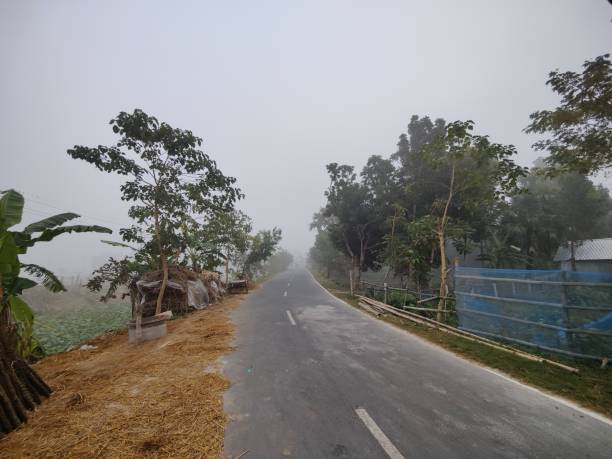 istock Clean  road with trees on both sides in the village 1498874941