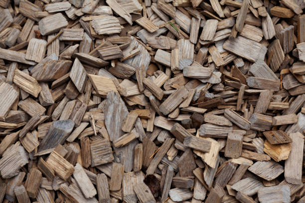 istock wood chips and bark lying on the ground 1498877623