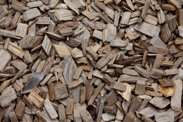 wood chips and bark lying on the ground