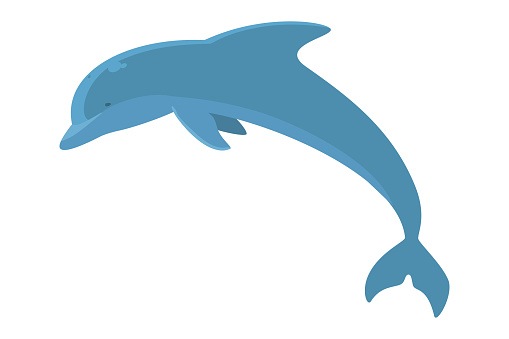 Illustration of a light blue dolphin.