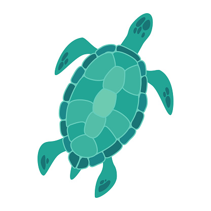Illustration of a turtle.