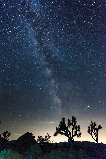 Impression of the night sky on a quiet summer evening in Joshua Tree national park, showing the milky way and many stars.