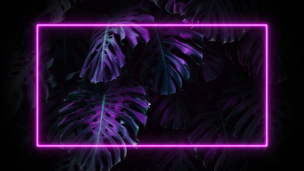 istock Neon frame on tropical palm leaves background. 80-90, neon, jungle concept. 1498880161