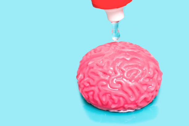 istock Training Bottle's Droplet Suspended Above Human Brain Model 1498882751