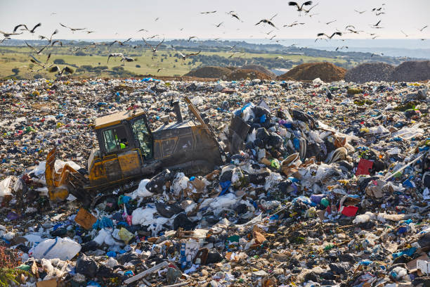 istock Heavy machinery shredding garbage in an open air landfill. Pollution 1498883358