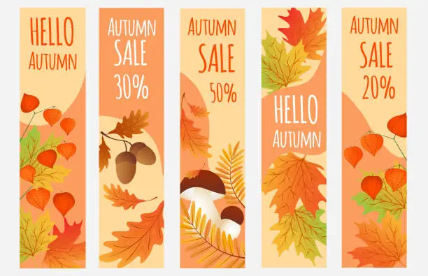 Vector illustration of Hello autumn. Autumn leaves with mushrooms, cep,physalis. Set sale banners.