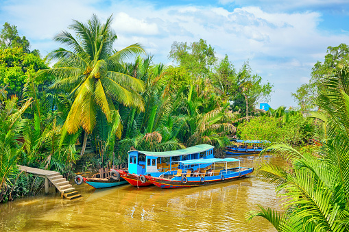 Wooden boats on Mekong Delta, southern Vietnam