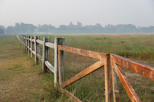 Horse farm with old wooden fence On the dry meadow of the rural spring landscape