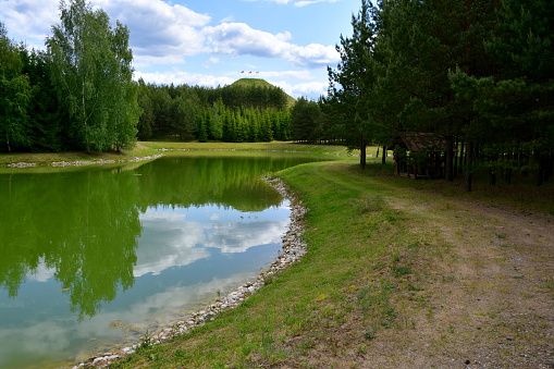 A close up on a beautiful green lake or pond located next to the coast covered with sand and surrounded with a dense, lush forest or moor, accompanied with a small wooden bridge or marina