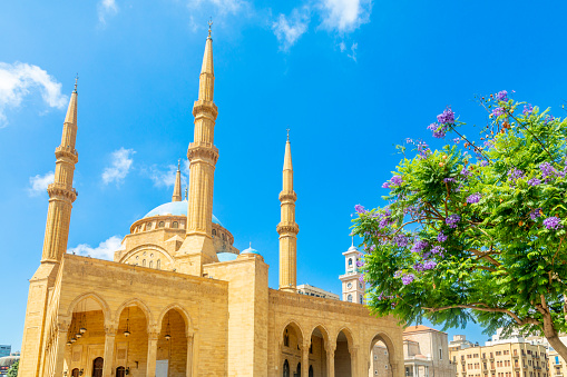 Blue dome of Mohammad Al-Amin Mosque with blooming jacaranda tree in the center of Beirut, Lebanon