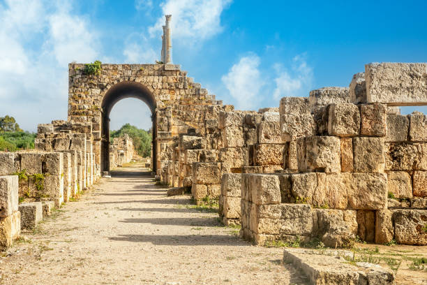 고대 로마 경마장 유적, al-bass 고고학 유적지, 티레, 레바논 - city of tyre lebanon antiquities archaeology 뉴스 사진 이미지