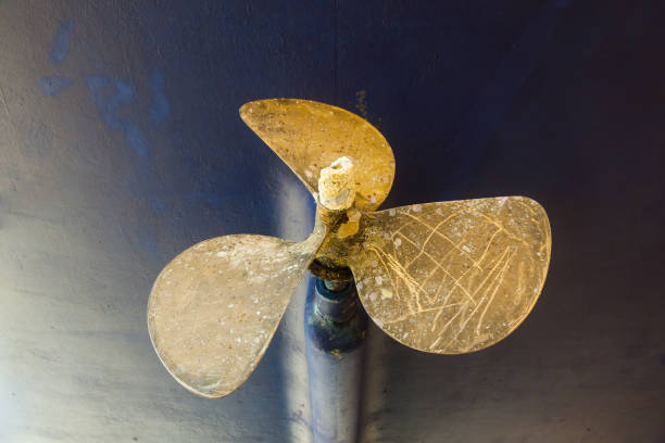 istock Bronze three-blade propeller on a sailing yacht. 1498894219