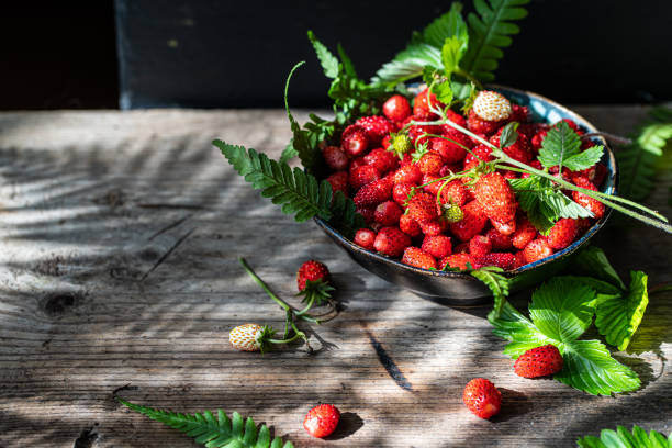 Freshly gathered wild strawberries on wooden bench.