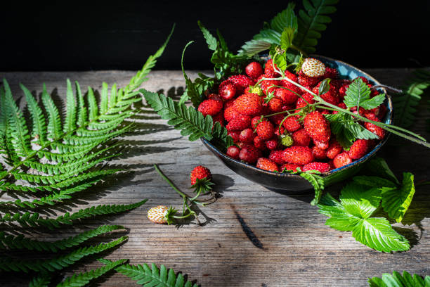 istock Freshly gathered wild strawberries on wooden bench. 1498894324