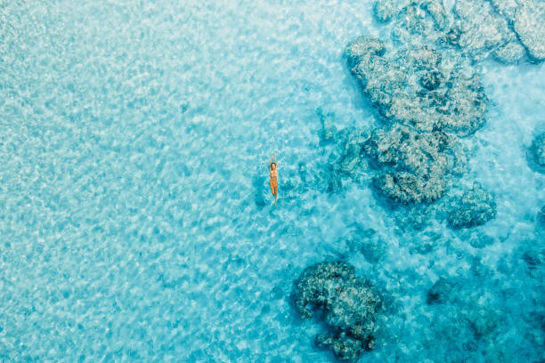 mulher nadando no oceano azul em suas férias. vista aérea, vista superior - seychelles sea lagoon tropical climate - fotografias e filmes do acervo