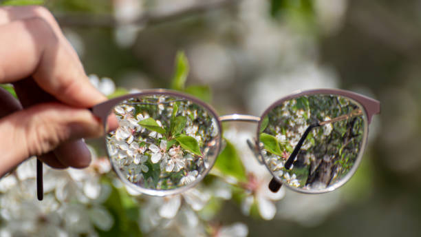 istock Looking in myopia glasses on garden in focus 1498897513
