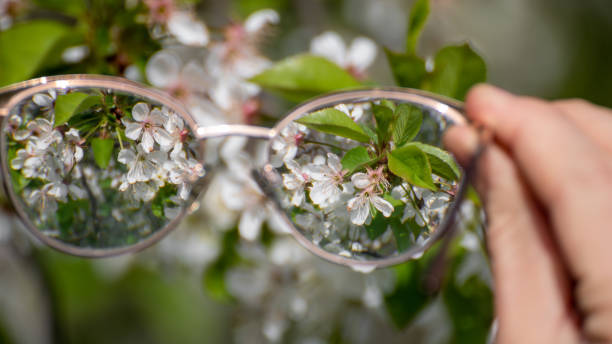 istock Looking in myopia glasses on flowers in focus 1498897532