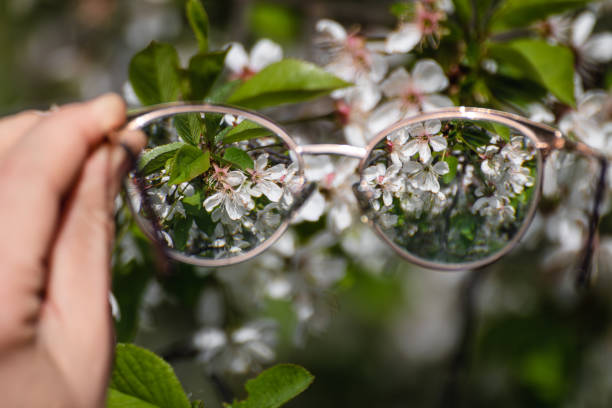istock Looking in myopia glasses on flowers in focus 1498897540