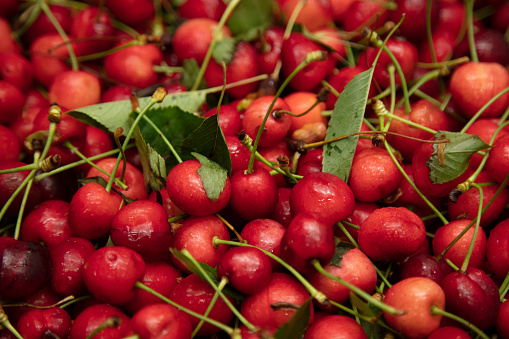 pile of fresh cherries