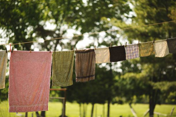 istock Fresh laundry hanging on a wire against green trees in Ontario, Canada 1498904176