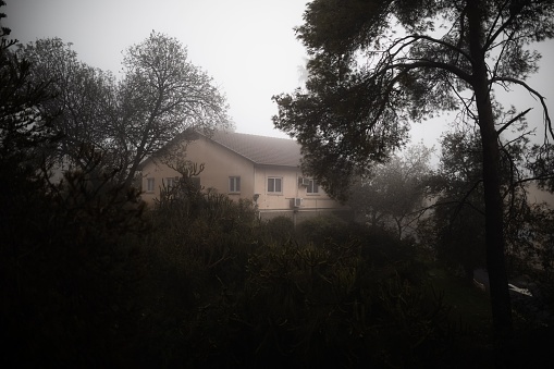 An idyllic countryside house sitting among lush trees, surrounded by a thick misty fog