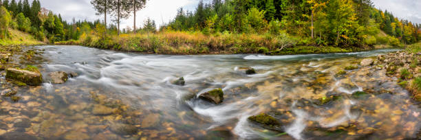 istock wild river with clear water in beautiful canyon 1498905833