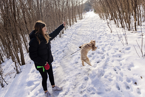 Teenage girl walking her dog in the winter park in Canada