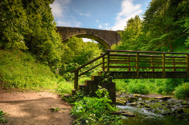 istock Causey Arch Footbridge and Burn 1498912347
