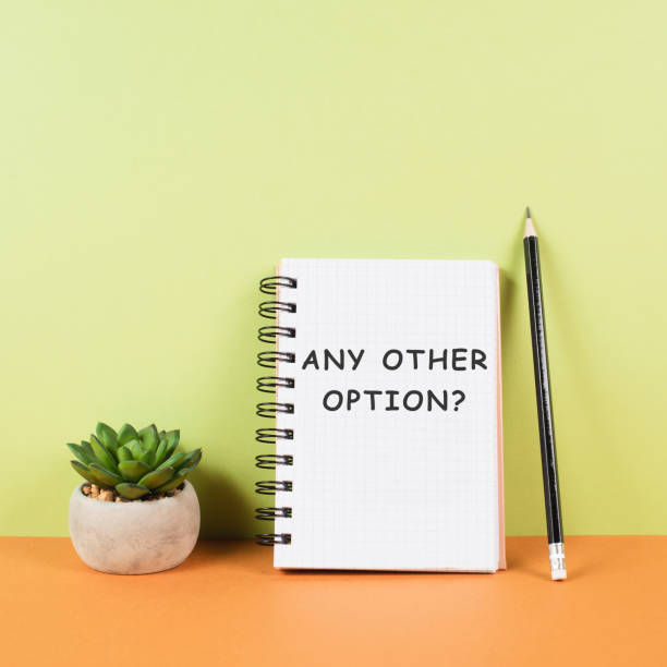 istock Any other options, education, business and coaching concept, finding a solution, taking an opportunity 1498916231