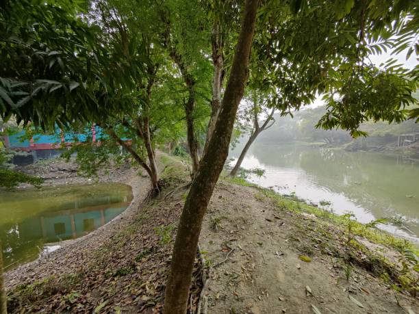 istock River in the village. River and trees 1498916297