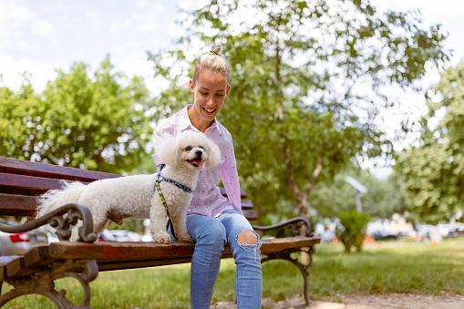 Young girl with a radiant smile shares a moment of pure joy with her loyal canine companion in a serene park setting. Seated together on a bench, they bask in the tranquility of nature, forming an inseparable bond. Seated together on a bench, they bask in the tranquility of nature, forming an inseparable bond