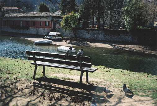 Pigeons on the Bench in a Sunny Day. Lecco Lake Shore, Italy. FIlm Photography