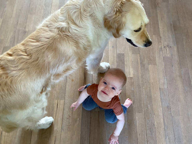istock Baby twin with the dog 1498920794