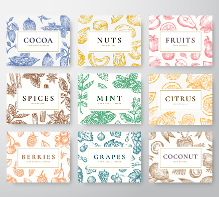 Hand Drawn Nuts, Spices and Berries with Fruits and Coconut Cards Set. Abstract Vector Sketch Backgrounds Collection with Classy Retro Typography. Patterns Collection. Isolated.