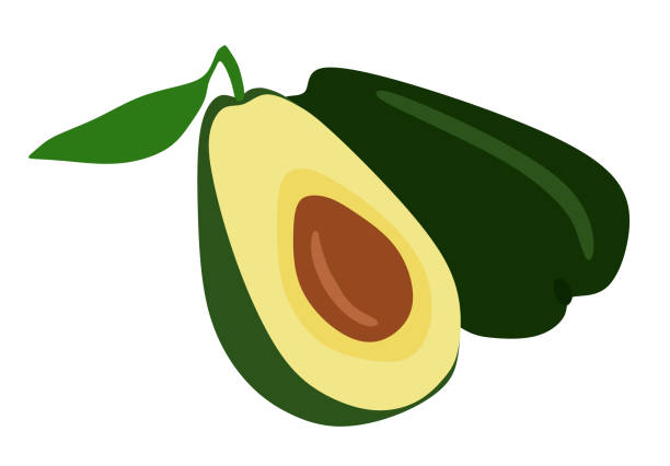 ilustraciones, imágenes clip art, dibujos animados e iconos de stock de avokado vector flat syle ilustración aislada sobre fondo blanco. fruta verde y medio icono. comida sana y concepto vegetariano. dieta vegetal orgánica. camiseta, estampado, logotipo, producto, bolso. - guacamole avocado cutting white background