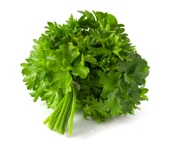 istock Bunch of fresh green parsley isolated on white background. 1498928343