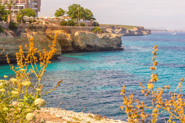 istock Landscape in beach in Mallorca, Spain 1498933732
