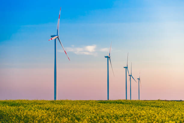istock Horizontal axis wind turbines on green agricultural field under the blue sky 1498934868