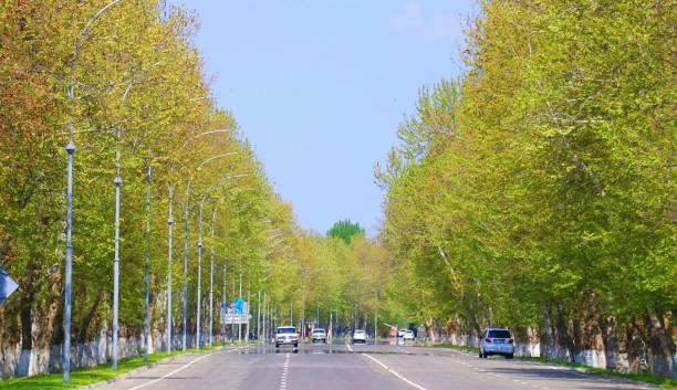 istock Zomin city 1498937279