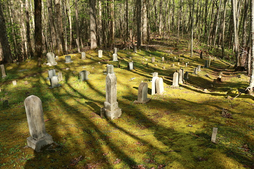 hillside view of an old forest cemetery