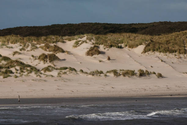 istock Duinen op Vlieland, Dunes at Vlieland 1498947477